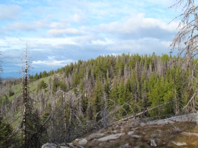 Spur Peak