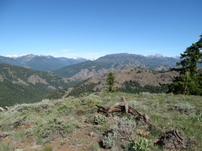 Newby Ridge