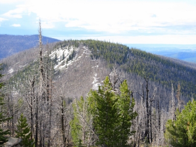 Starvation Mountain
