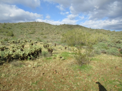 "Apache Vista"