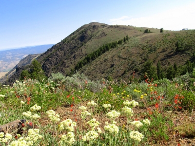 Moon Mountain