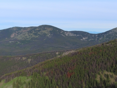 Wapaloosie Mountain