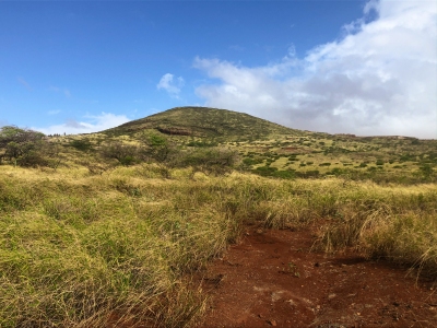 Pu'umakakilo