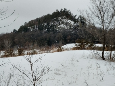 Wildcat Bluff