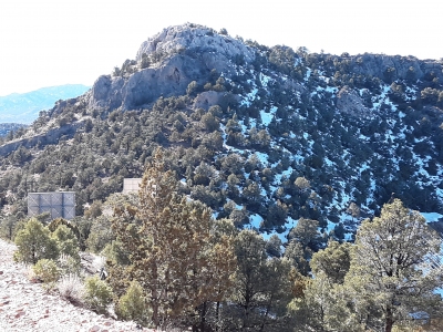 Williams Hill