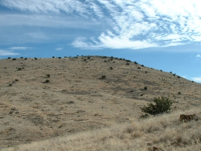 Deer Mountain