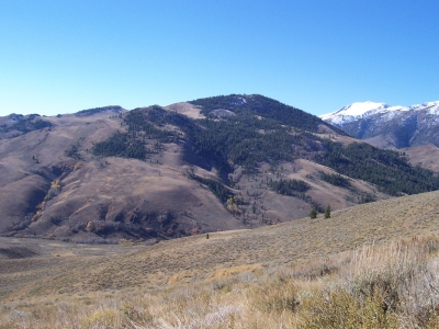 Middle Mountain