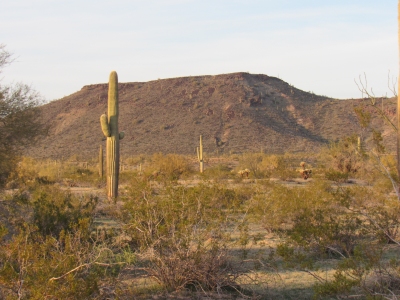 1835