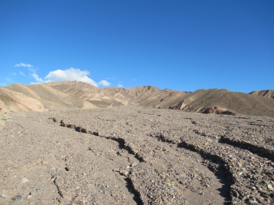 Kit Fox Hills