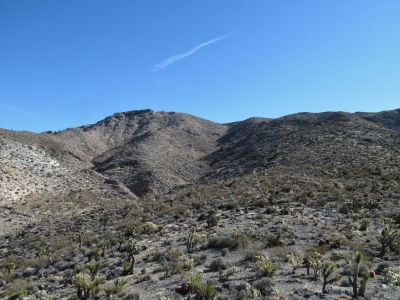 Mesquite Mountains (HP)
