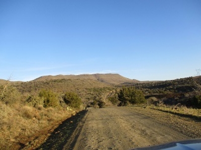 Blackjack Point