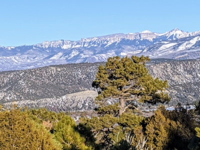Miller Mesa