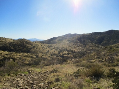 Willow Spring Mountain