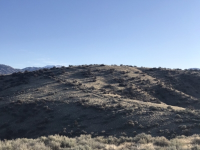 "Polecat Mountain"