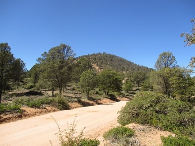 Yerba Senta Butte