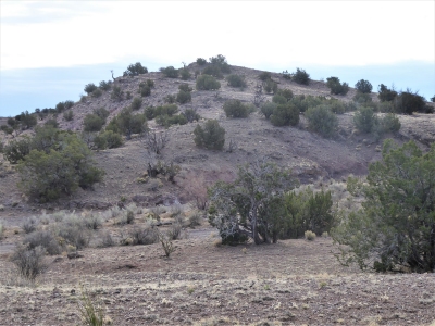 Monument Hill