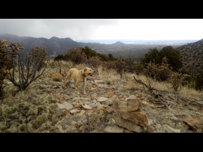 Cerro Columbo