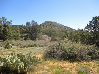 Bishop Knoll