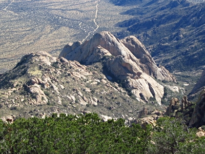 "Elephant Dome"