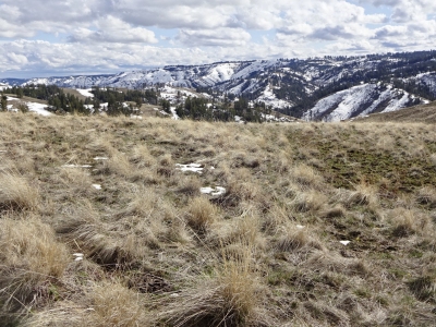Cold Spring Ridge