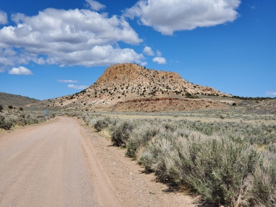 Broze Knoll