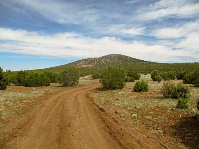 Ortega Mountain