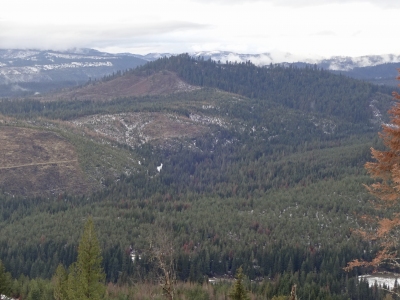 Flynn Butte