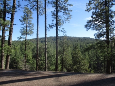 Turkey Peak