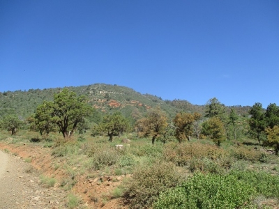 Strawberry Mountain