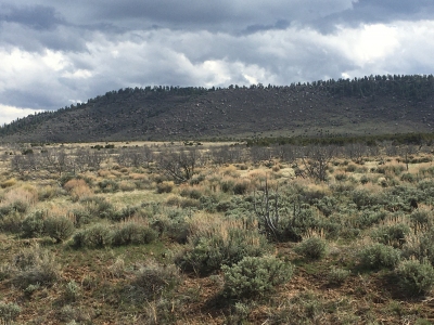 John Weller Mesa