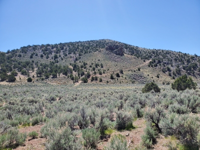 Iron Mountain