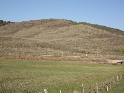 South Hill