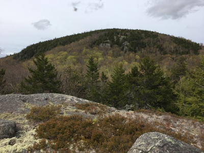 Cone Mountain
