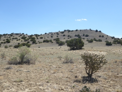 Loma Padre