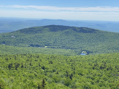 Bald Sunapee