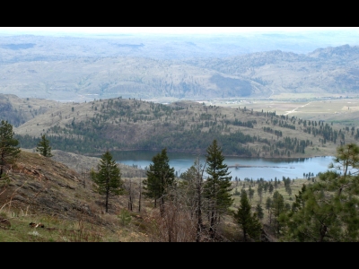 Timerick Mountain