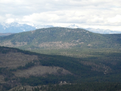 Woody Mountain