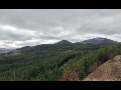 Round Knob
