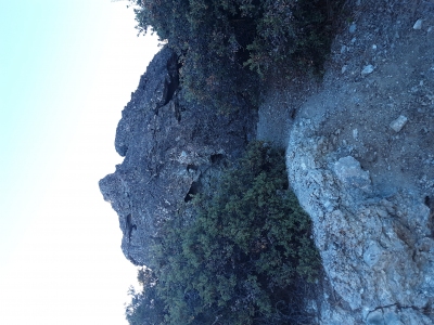 San Benito Mountain