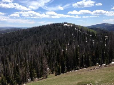 Duchesne Ridge