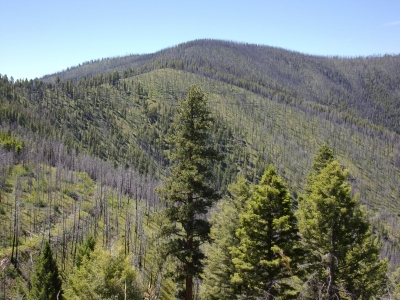 Ulysses Mountain