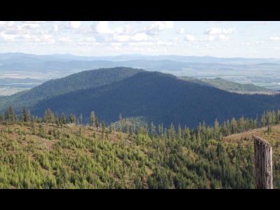 Twin Peaks, South