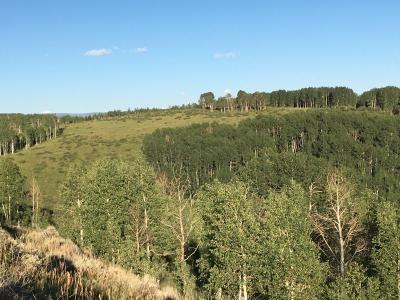 Little Hill