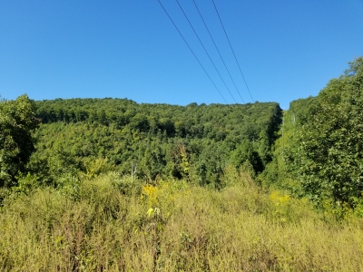 Little Black Mountain
