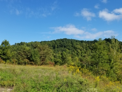 Knox County HP