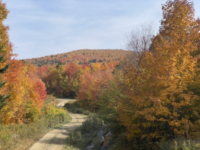 Cowen Hill