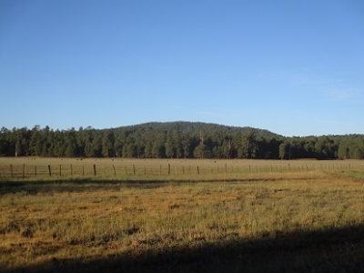 Jones Mountain
