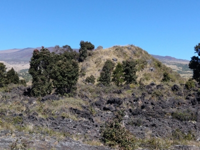 Pu'ukahiliku