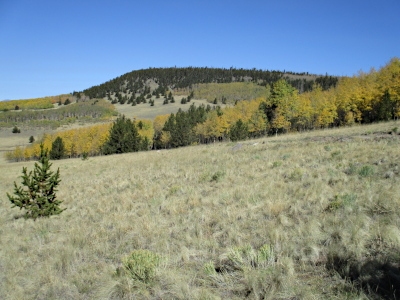 Lake Mountain