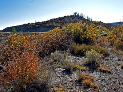Moccasin Mesa